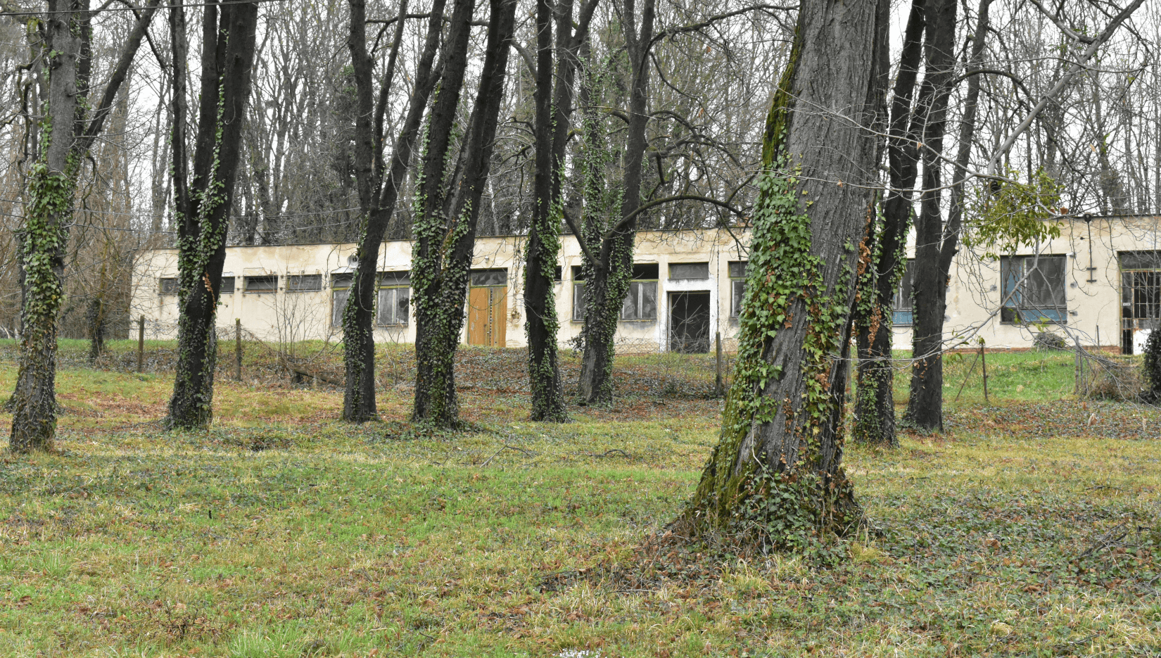 „Vegyünk kastélyt!” 11. rész – Kötelezve