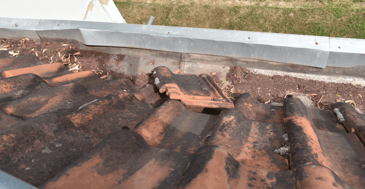 „Vegyünk kastélyt!” 13. rész – Épületdiagnosztikai szakvélemény I.