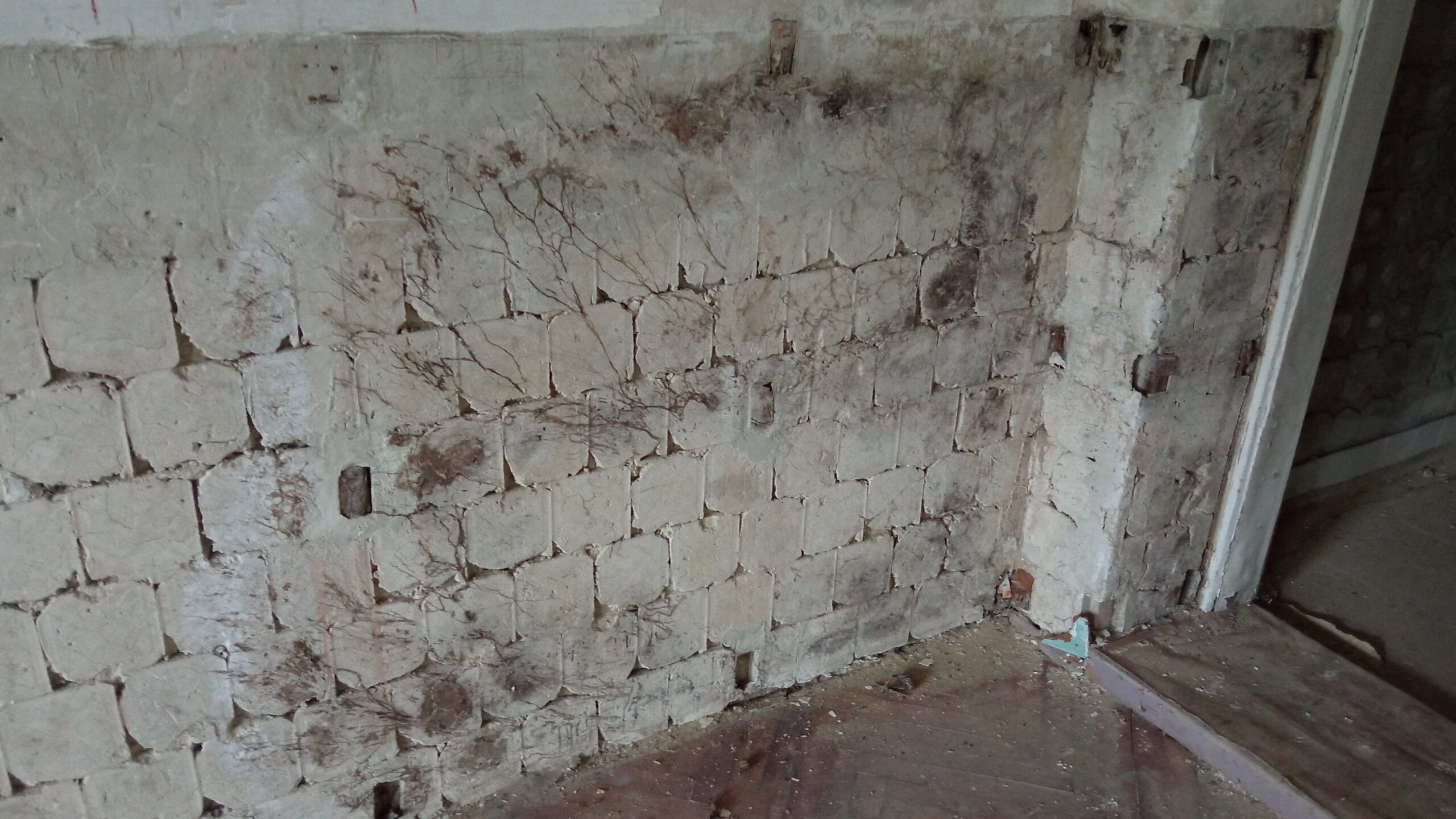 „Vegyünk kastélyt!” 14. rész – Épületdiagnosztikai szakvélemény II.